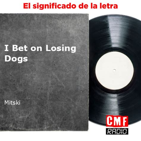 letra de mitski i bet on losing dogs significado